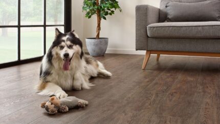50 LVR 9601 evp vinyl flooring roomscene