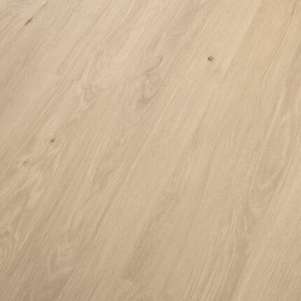 VV668 04354 ANGLED