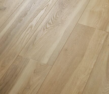 VV741 00979 ANGLED