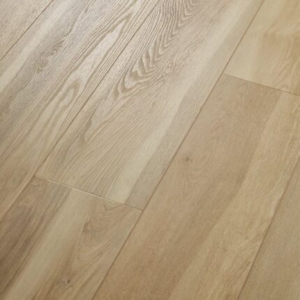 VV741 00979 ANGLED