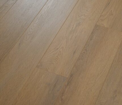 VV826 02556 ANGLED