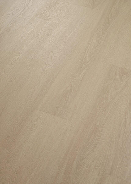 VV838 03673 ANGLED