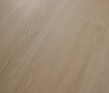 VV838 03676 ANGLED